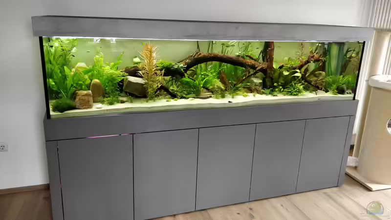 macht sich ganz gut die Verkleidung von Woidma (48)