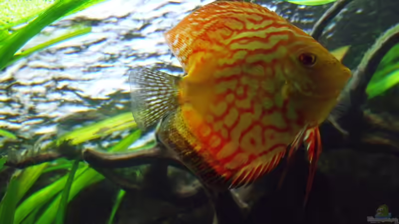 Mädel von PH Neutral (33)