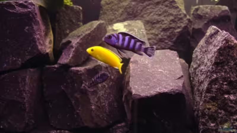 Männerrunde von Daniel Kronmüller (22)