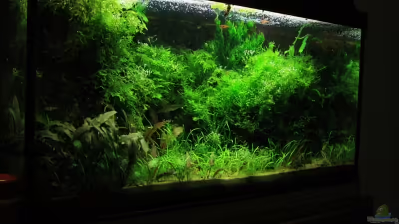 März 09 von basetim (12)