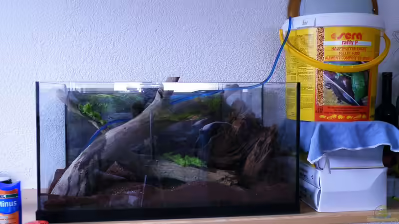 März 2010 - Moos dran und: Wasser marsch von bergfrau (3)