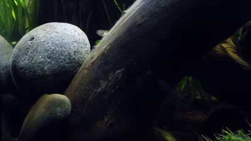 März 2010 - Steine machens komplett von bergfrau (17)