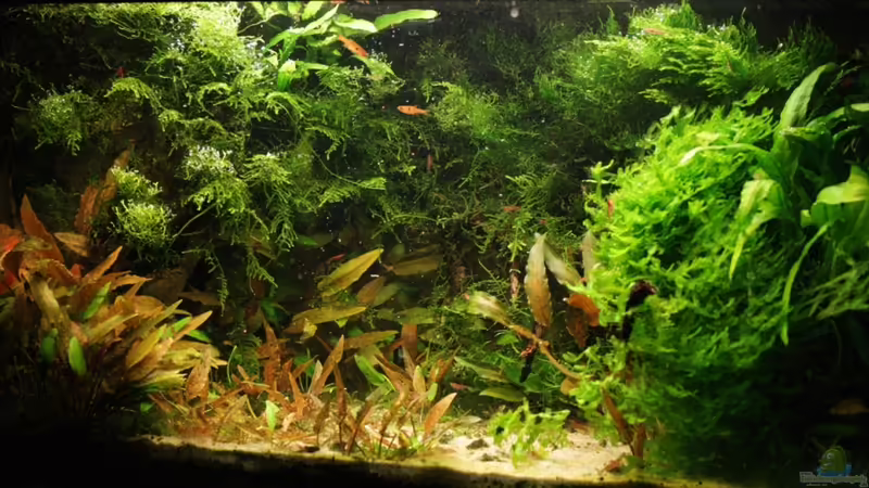 März 2010 von basetim (15)