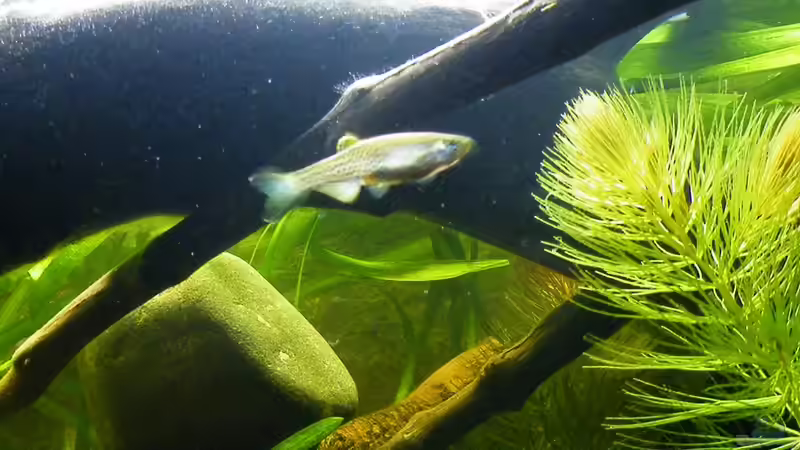 März 2010 von bergfrau (24)