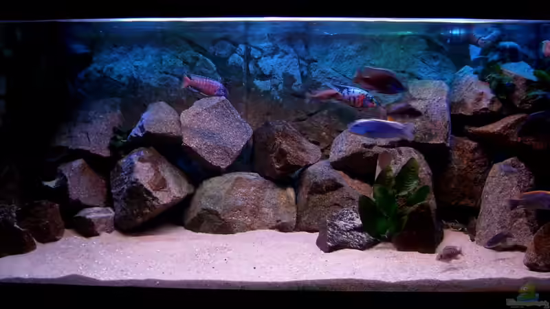 März 2010 von ***ELLIS*** (15)