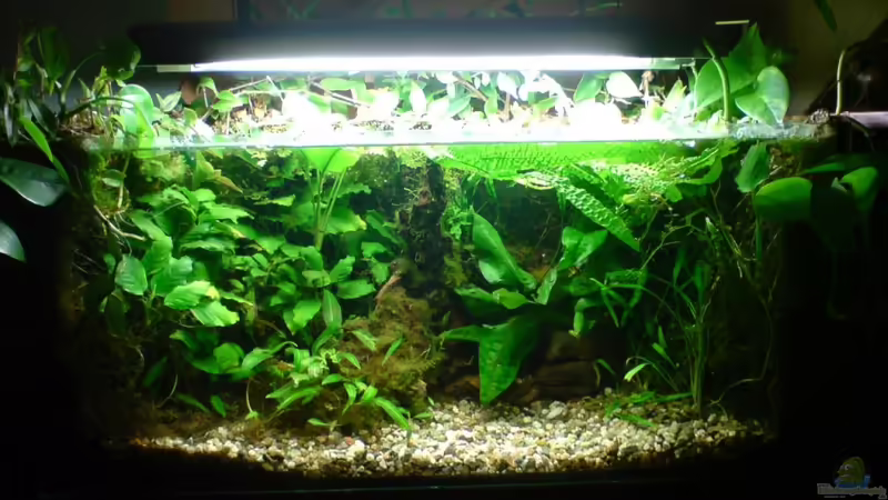 März 2011 von timme (12)