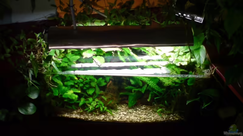 März 2011 von timme (14)