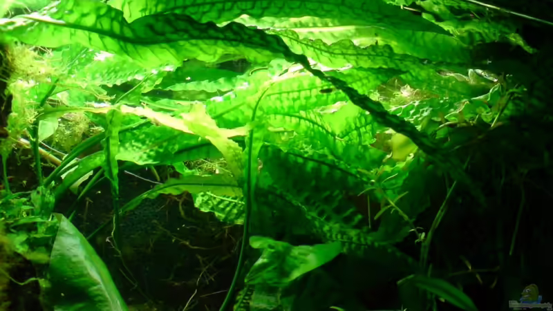 März 2011 von timme (15)