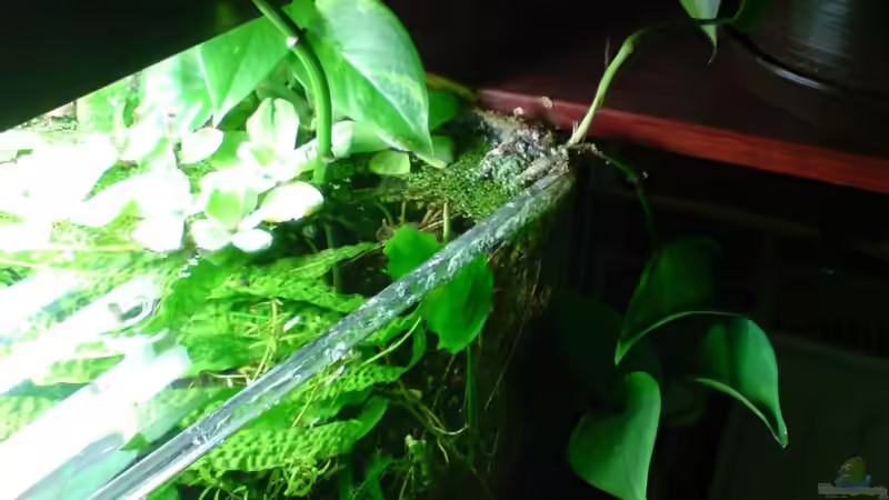 März 2011 von timme (16)