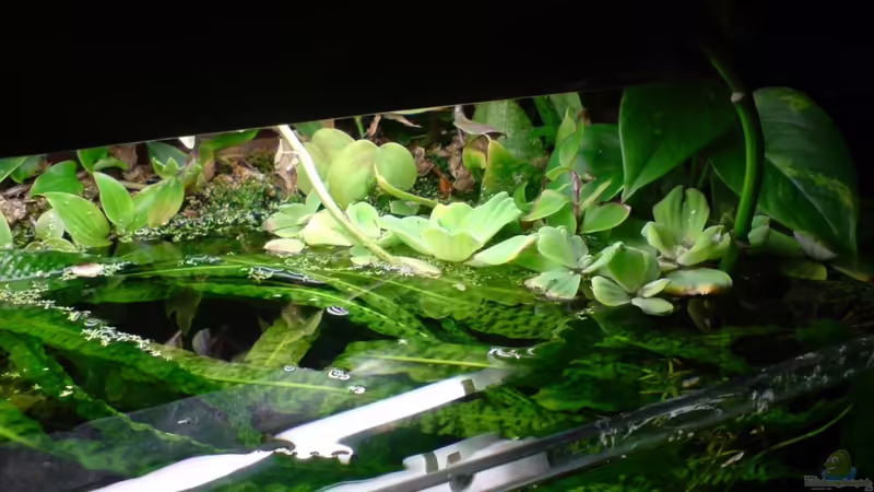 März 2011 von timme (17)