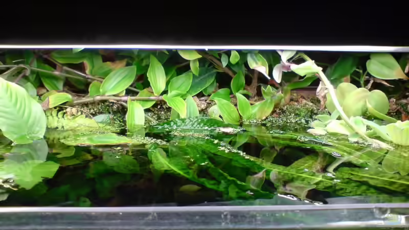 März 2011 von timme (18)