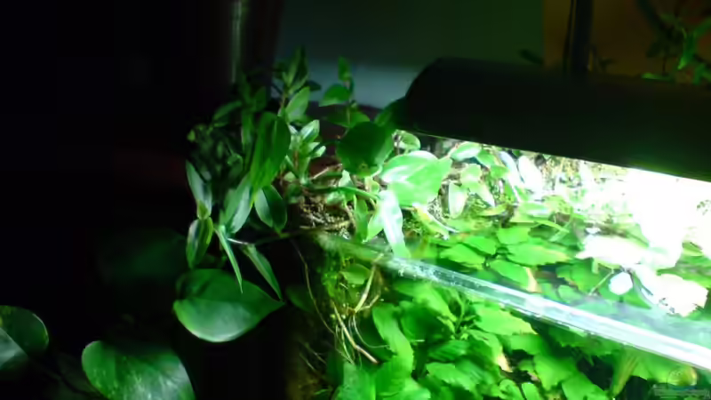 März 2011 von timme (19)