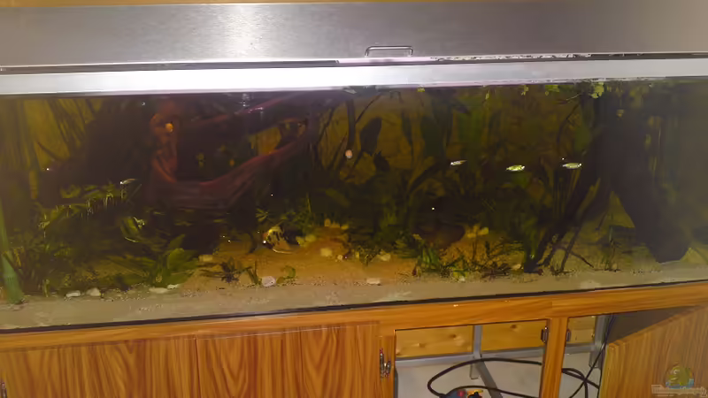 März 2011 von Yvonne Storms (4)