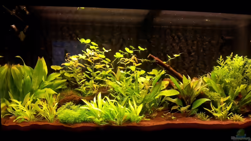 März 2012 von SleazeRocker (7)