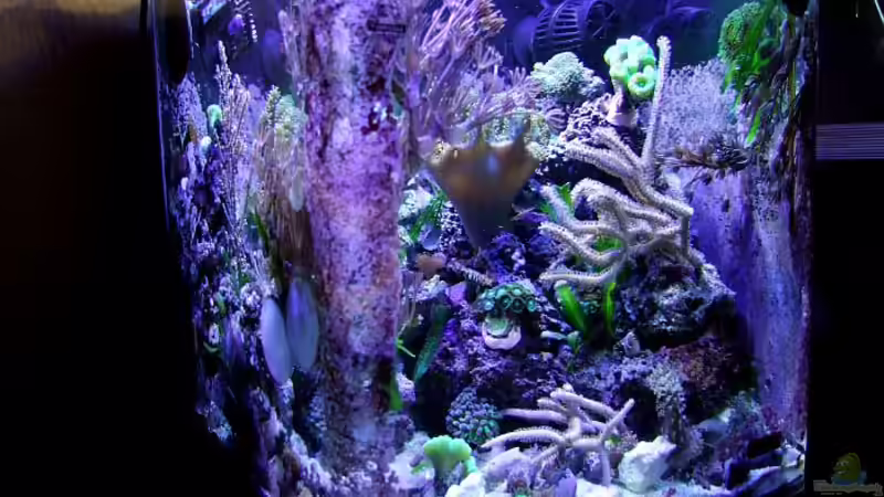 März 2013 von Denise83 (5)