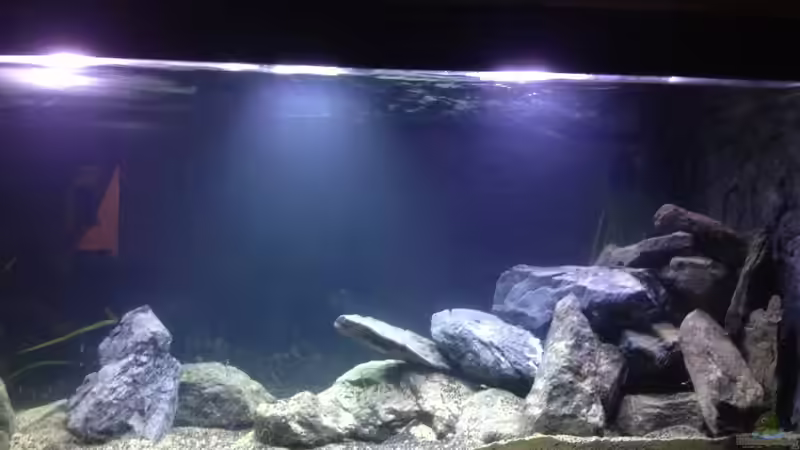 März 2013 von der Steirer (4)