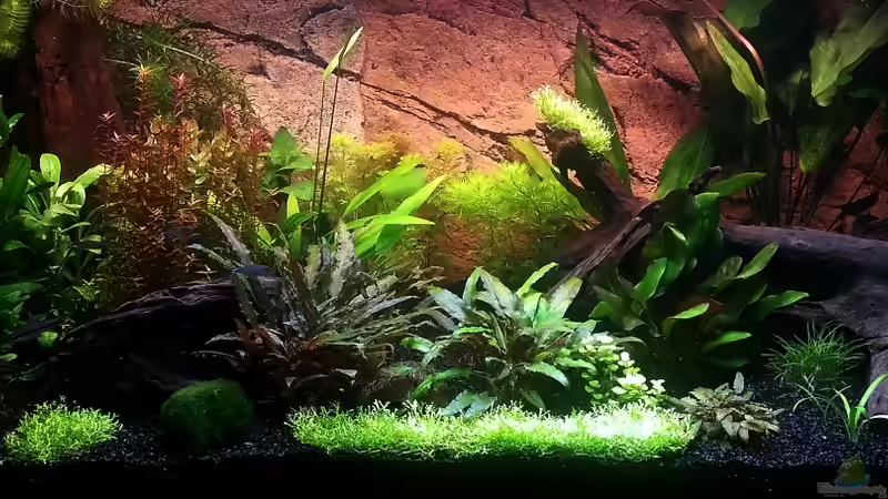 März 2013 von Markus93 (12)