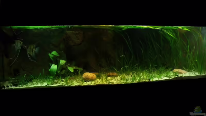 März 2013 von PH Neutral (11)