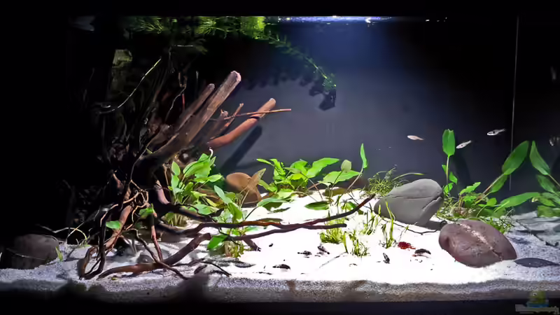 März 2013 von Tuduhi (3)