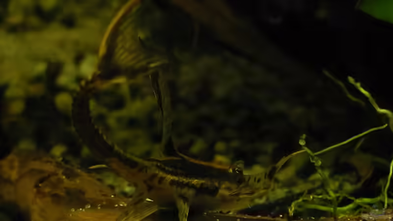 März 2014 von DasJin (16)