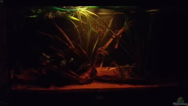 März 2014 von der Steirer (20)