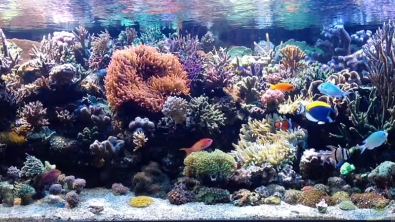 März 2014 von MartinS (1)