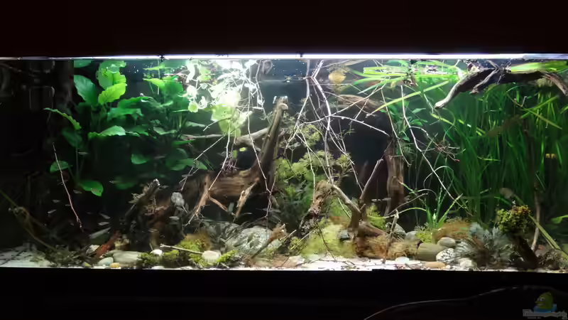 März 2015 von paris (1)