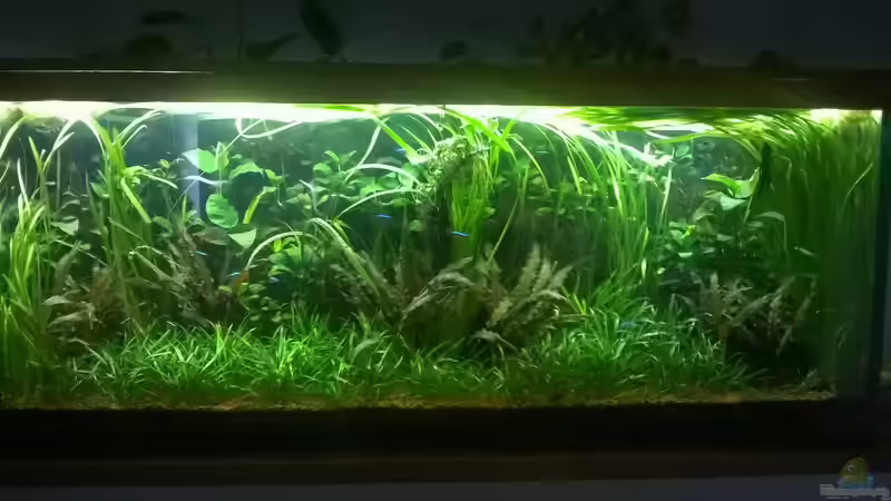 März 2015 von Steven Müller (9)