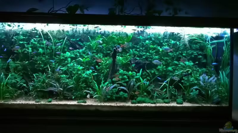 März 2016 von Steven Müller (14)