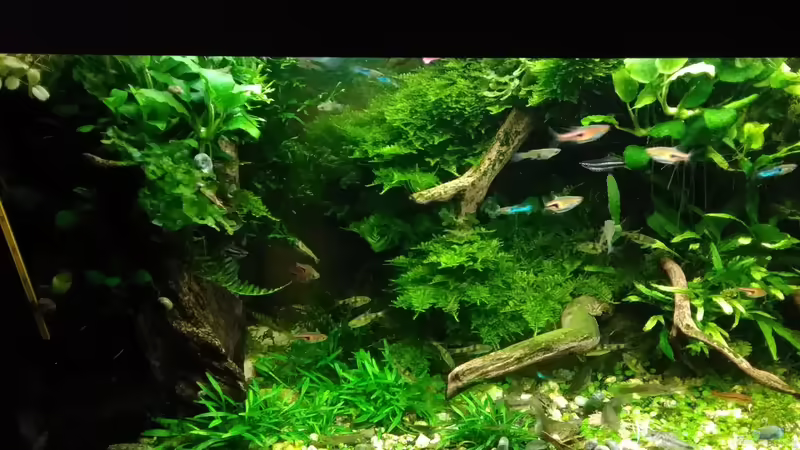 März 2017  von Grünhexe (123)