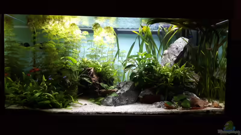 März 2018 von feld81 (1)