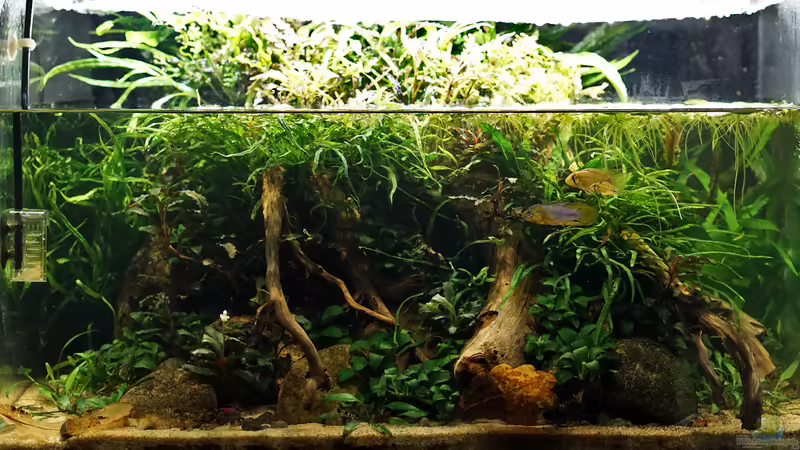 März 2019 von Micha... (14)