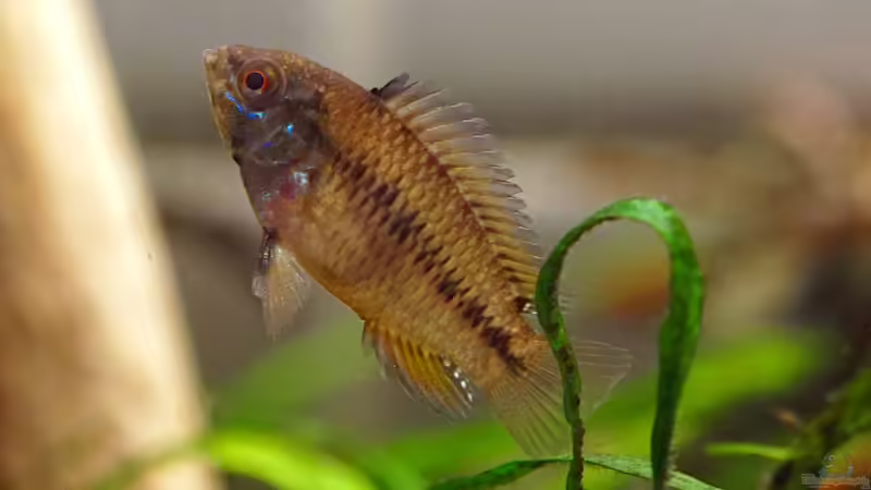 März 2019 von Micha... (67)