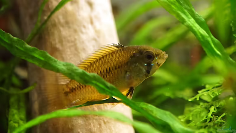 März 2019 von Micha... (68)