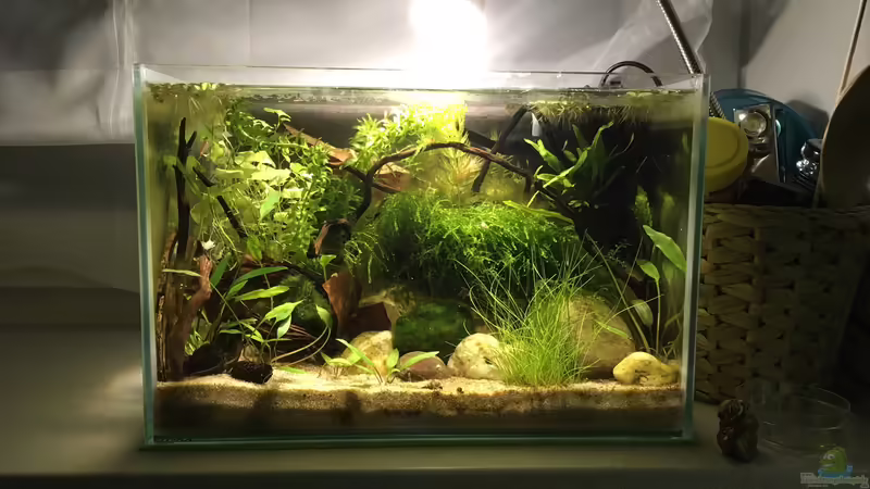 März 2021 von Maji (4)