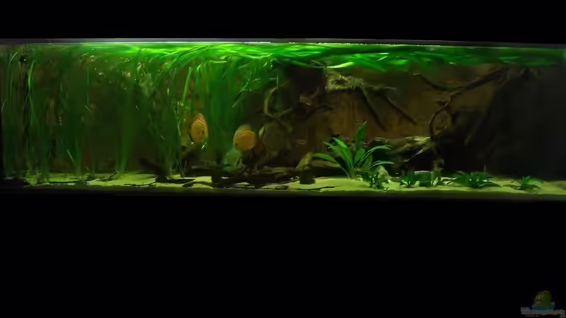 März/April2011 von PH Neutral (6)