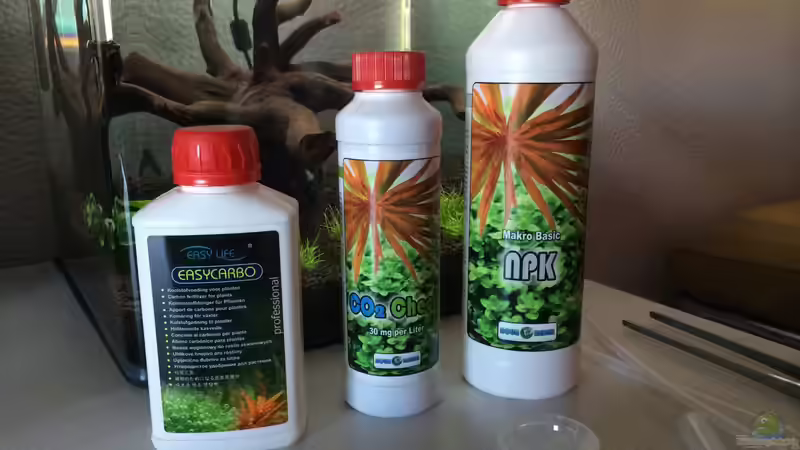 Magic von Ayahuasca (153)