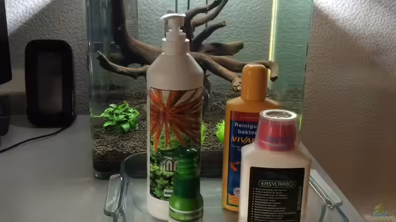 Magic von Ayahuasca (154)