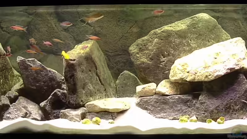 Mai 2005 von Georg Botz (2)