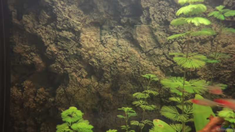 Mai 2010 von Maguma (10)