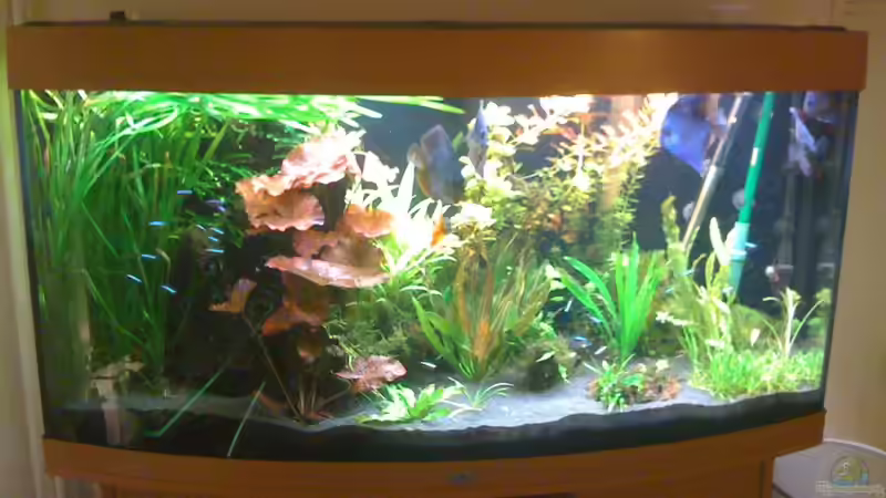 Mai 2010 von Niki DJC (1)