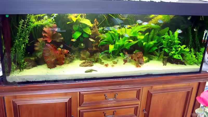 Mai 2011 von Peter Walenciak (7)