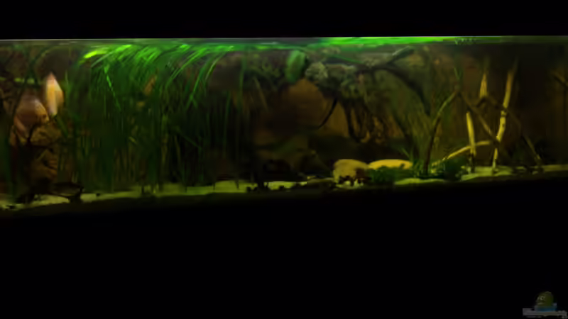 Mai 2012 von PH Neutral (14)