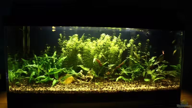 Mai 2013 von Andrea Rüter (1)