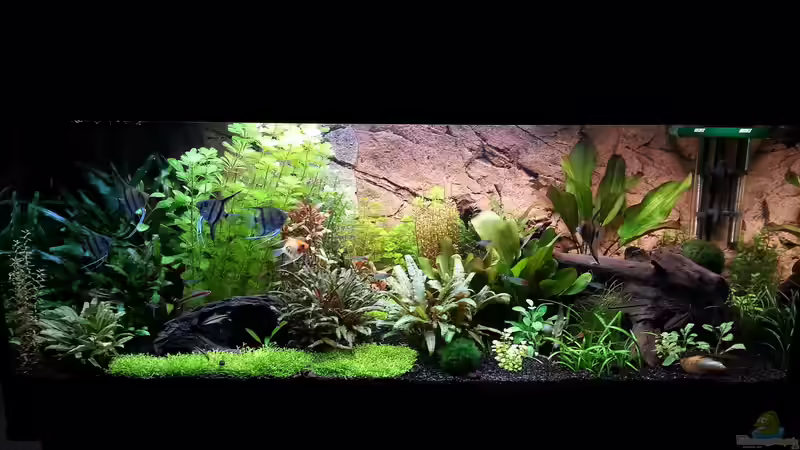 Mai 2013 von Markus93 (13)