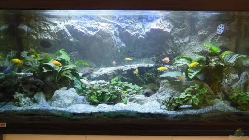 Mai 2013 von tomwu (3)