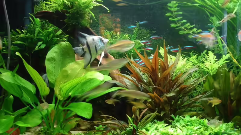 Mai 2014 von Grünhexe (107)