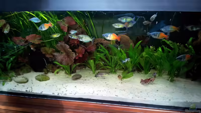 Mai 2014 von Peter Walenciak (16)