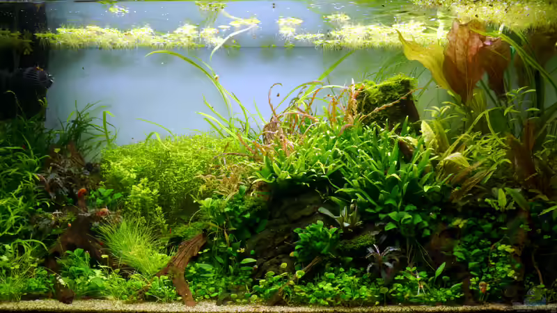 Mai 2015 von Micha... (10)