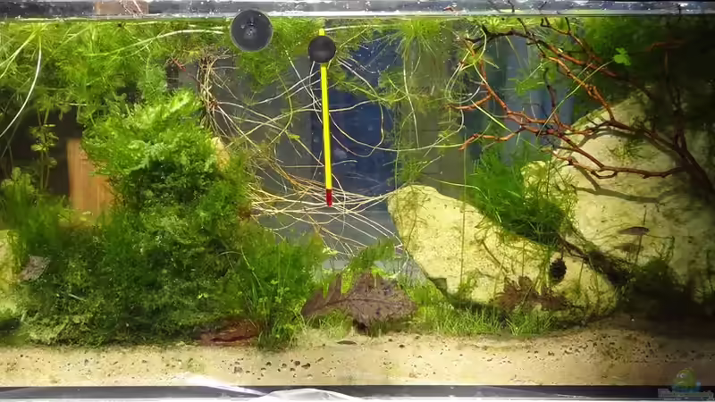 Mai 2016  von paris (15)